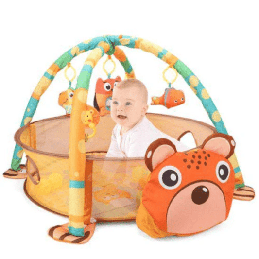 Baby Adventure Activity Play Gym